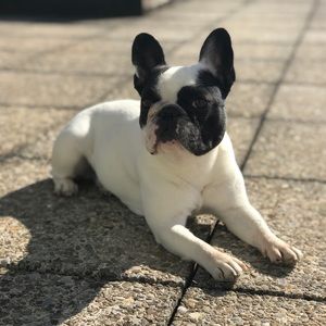 Meet your Posher, Genevieve